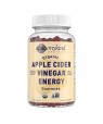 Mykind Organics Apple Cider Vinegar Energy 63 Gummies